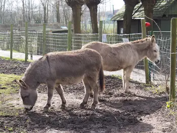 Lens Polder kinderboerderij in Nieuwpoort (Belgie)